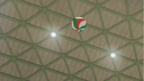 애니 하이큐 포지션 별 최애캐 고르기 1탄 - 윙스파이커 | 인스티즈