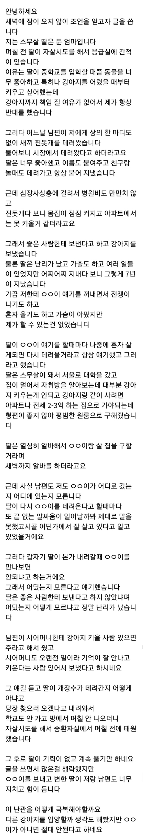 [네이트판] 딸이 강아지 때문에 자살시도를 했는데요 | 인스티즈