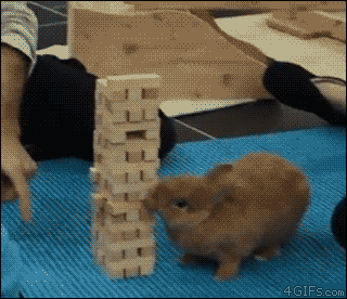 젠가 고수.gif | 인스티즈