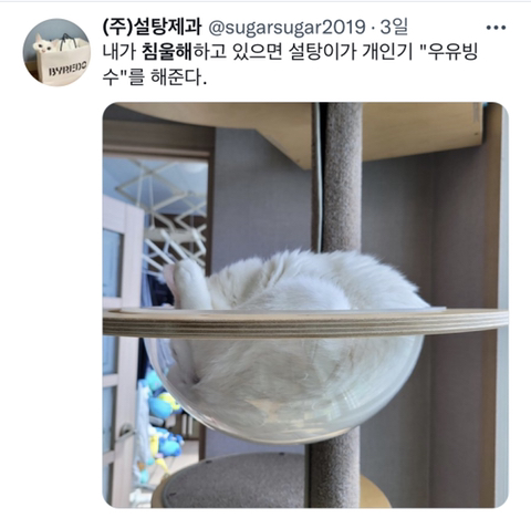 내가 침울해 하고 있으면 -가 -해준다 .twt | 인스티즈