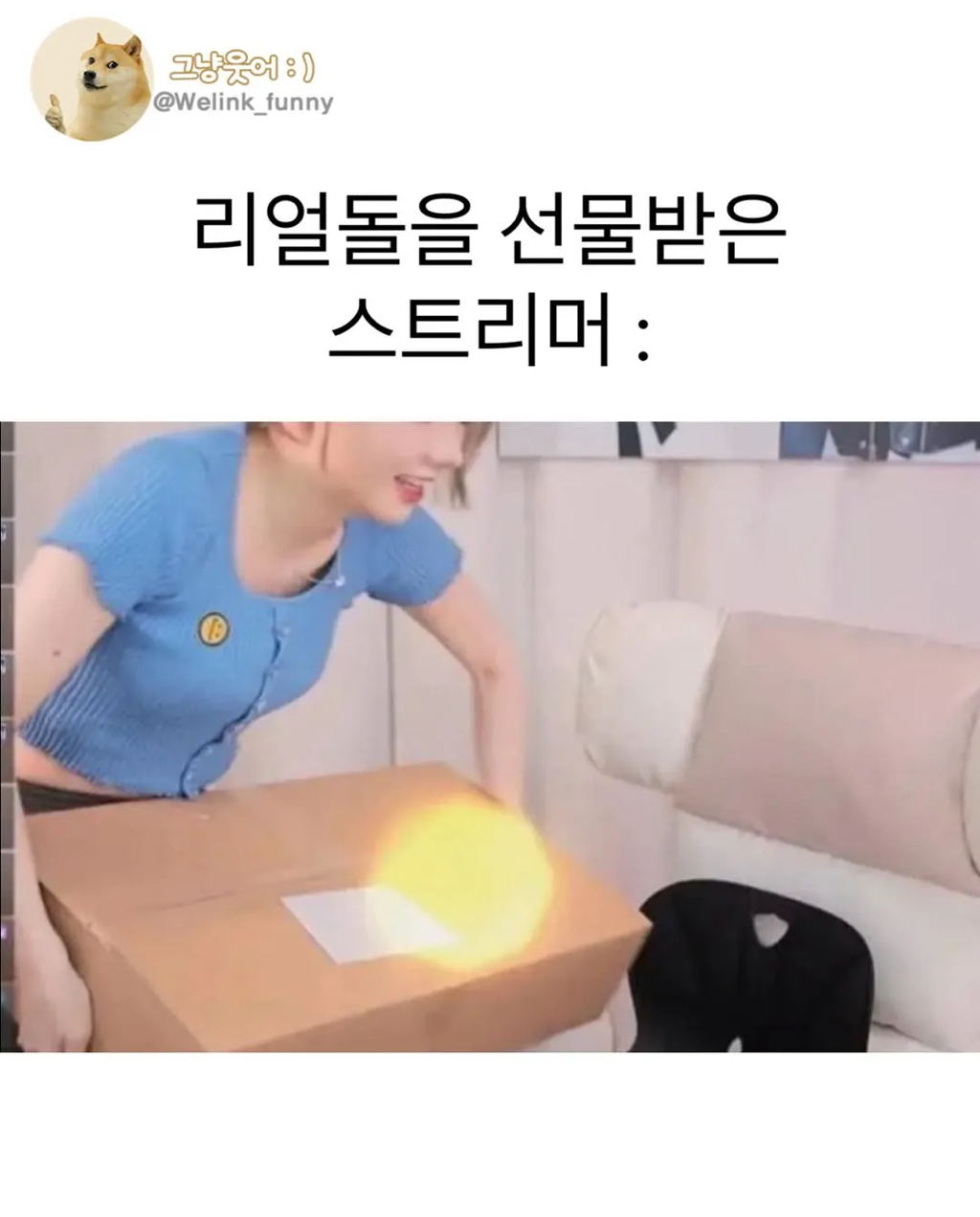 리얼돌을 선물받은 스트리머 | 인스티즈