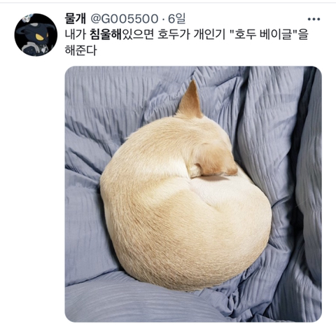 내가 침울해 하고 있으면 -가 -해준다 .twt | 인스티즈