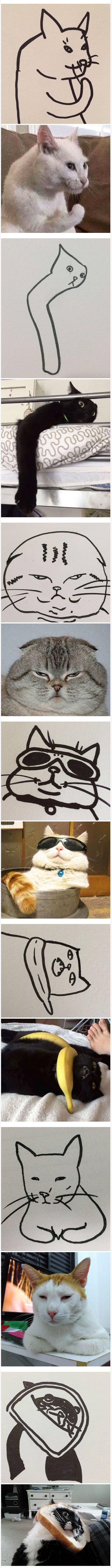 이렇게 생긴 고양이가 세상에 어딨냐 | 인스티즈