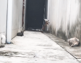 팬심빼고 봐도 솔직히 멋있는 짤.gif | 인스티즈