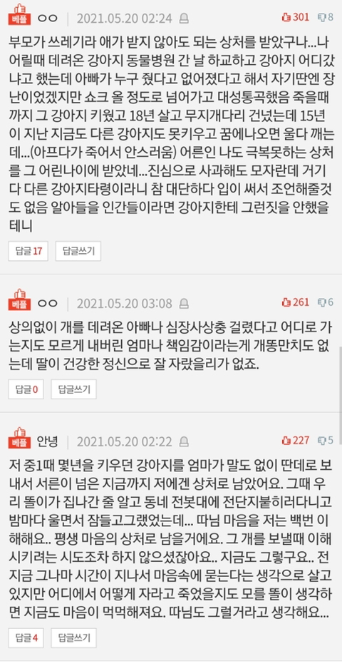 [네이트판] 딸이 강아지 때문에 자살시도를 했는데요 | 인스티즈
