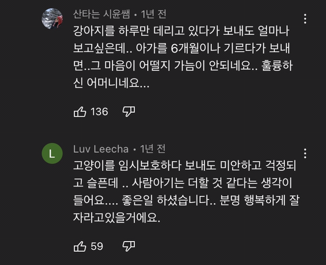 아기 입양전 위탁하는 가정이 생각보다 힘든 이유 | 인스티즈