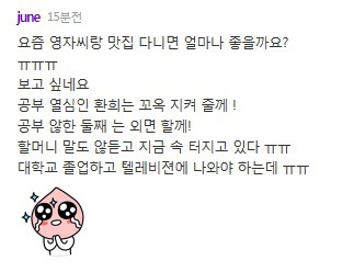 고 최진실 추모하러온 이영자를 향한 저급한 악플들.jpg | 인스티즈