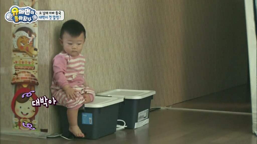 대박이의 처음이자 마지막 말썽 | 인스티즈