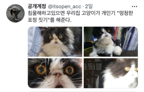 내가 침울해 하고 있으면 -가 -해준다 .twt | 인스티즈