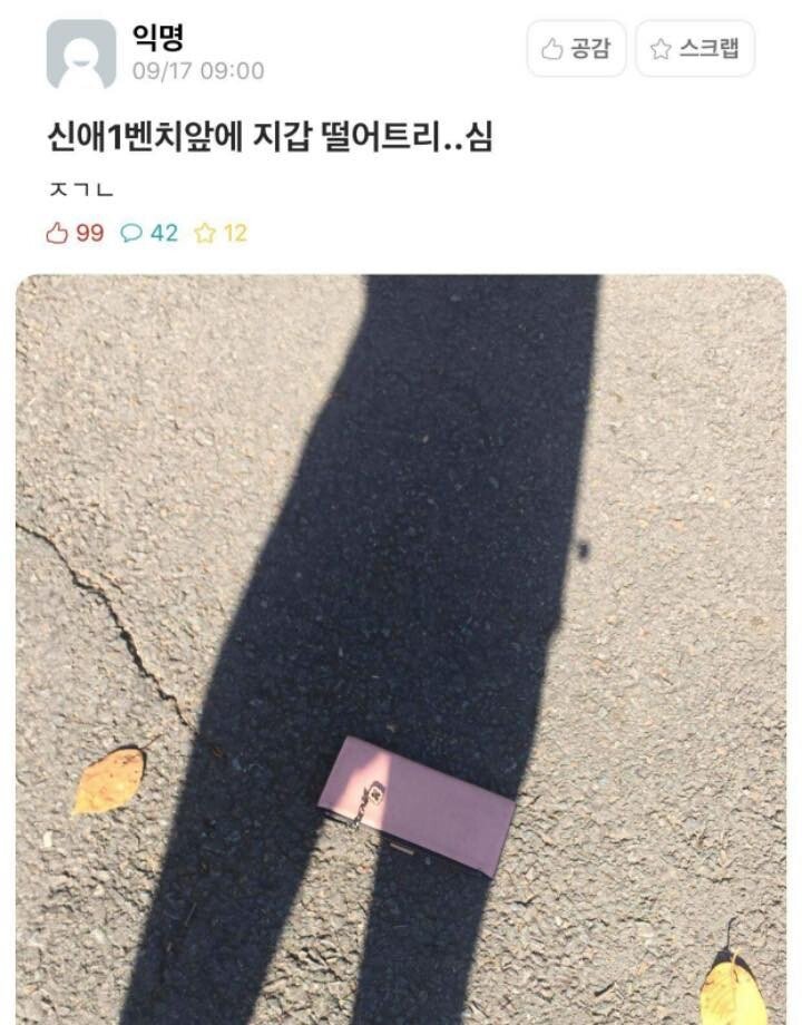 떨어뜨린 지갑을 발견한 에타인 | 인스티즈