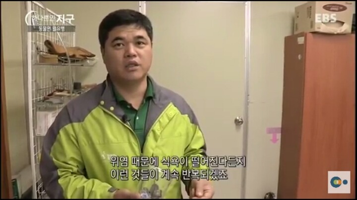 동물원 동물들이 월요병 생기는 이유 | 인스티즈