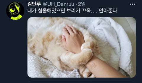 내가 침울해 하고 있으면 -가 -해준다 .twt | 인스티즈
