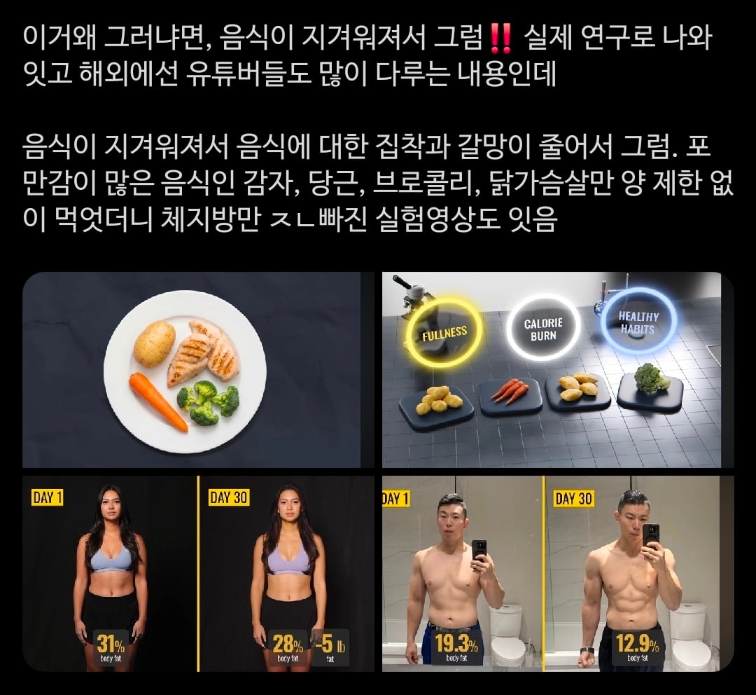 결국 뚱띠들은 식사가 맛있는걸 먹는 시간이란 생각을 버려야 살빠지는거 같애 | 인스티즈