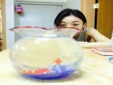 물고기가 빨리 죽는 이유 | 인스티즈