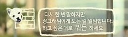 미생이 덕후가 꽤 많은 드라마였던 이유.jpgif | 인스티즈
