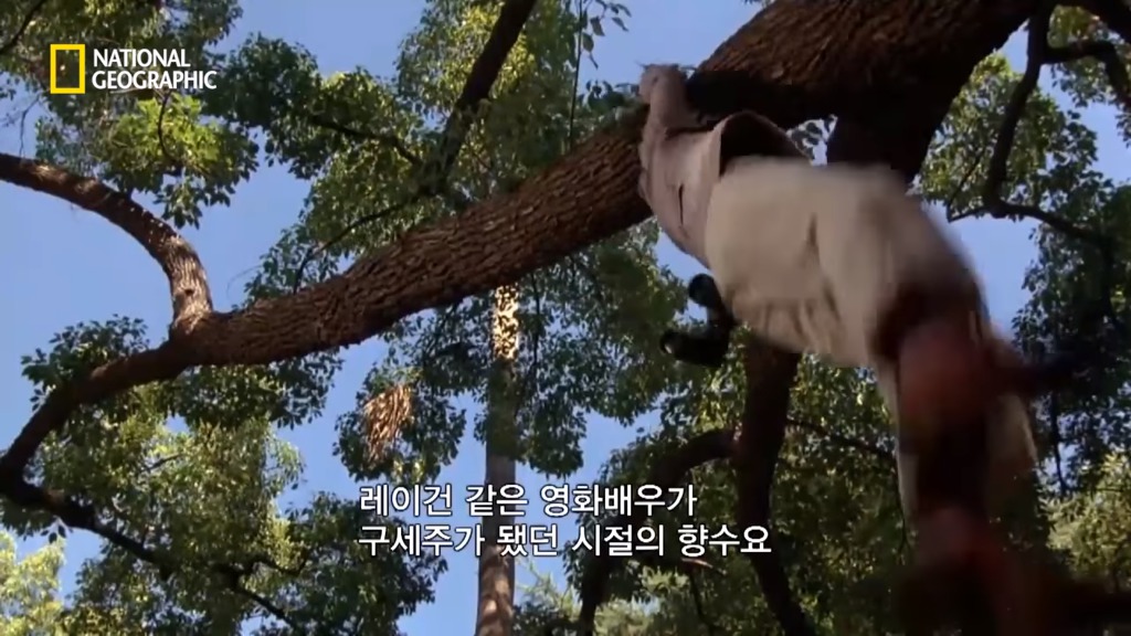 미국의 전통적 가치를 상징하는 영화 | 인스티즈