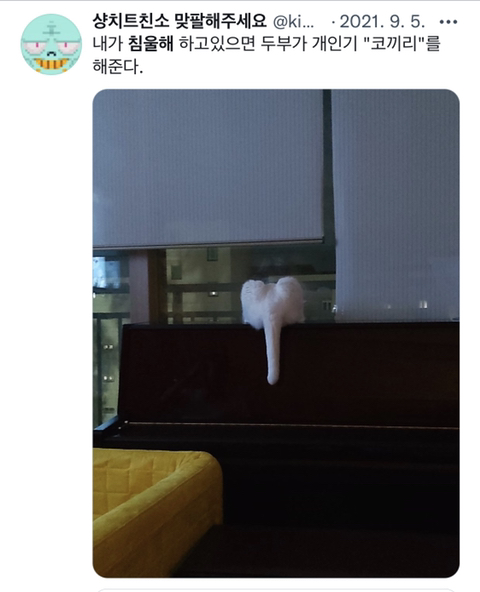 내가 침울해 하고 있으면 -가 -해준다 .twt | 인스티즈