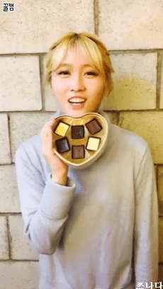 가장 좋아하는 트와이스 멤버는?.gif | 인스티즈