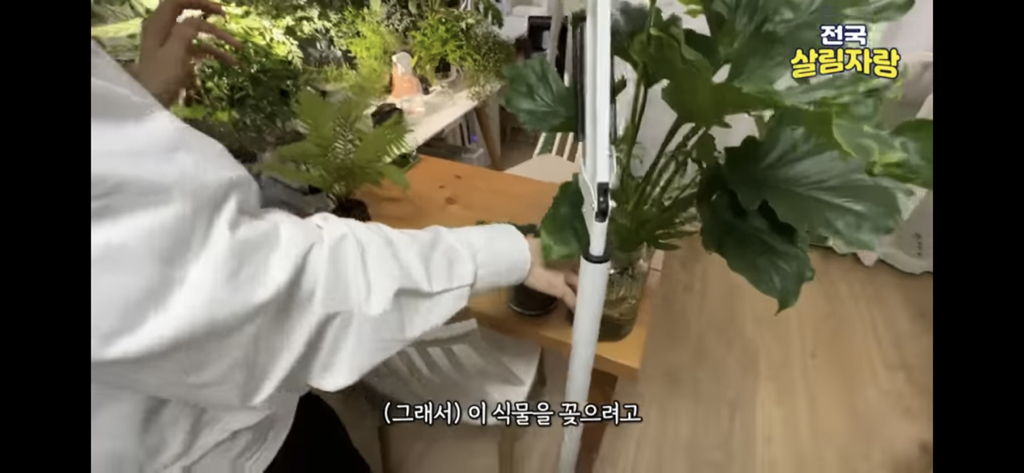 저비용 고효율로 행복해질 수 있는 집꾸미기 팁 | 인스티즈
