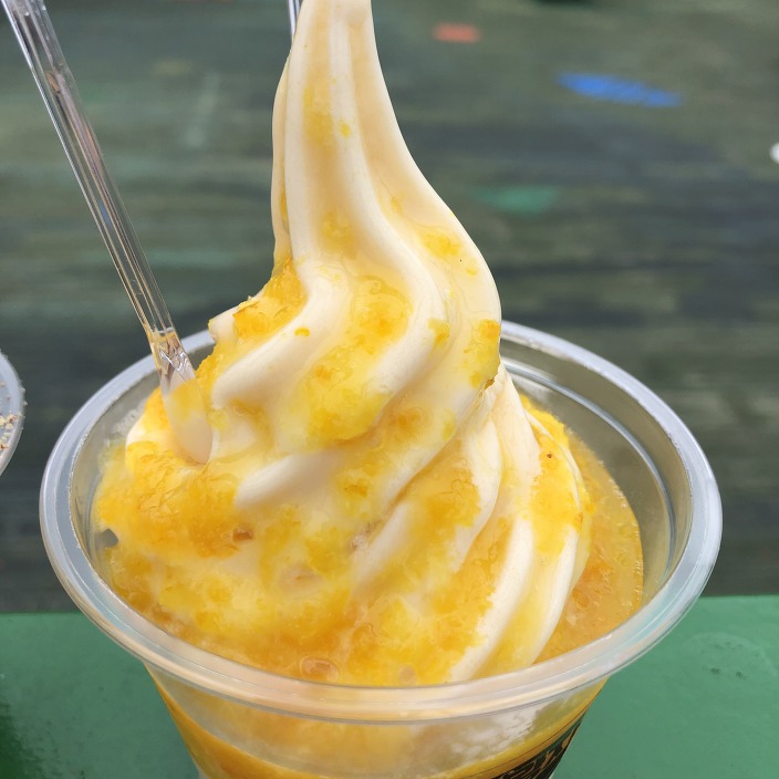 제주도 여행간 사람들이 꼭 먹고 온다는 아이스크림....jpg | 인스티즈