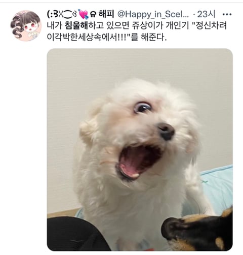 내가 침울해 하고 있으면 -가 -해준다 .twt | 인스티즈