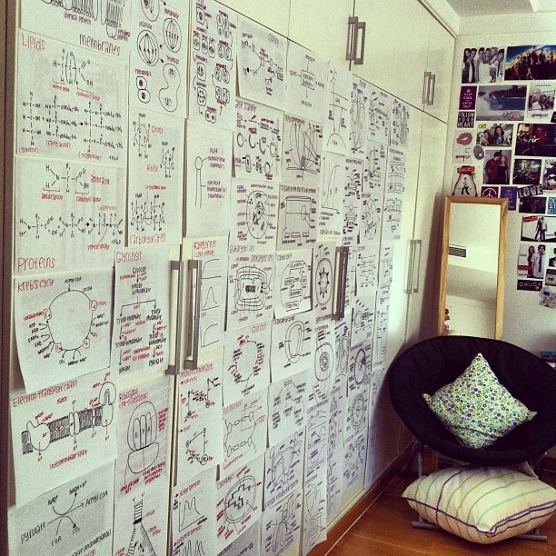 공부자극하는 사진 50장.JPG | 인스티즈