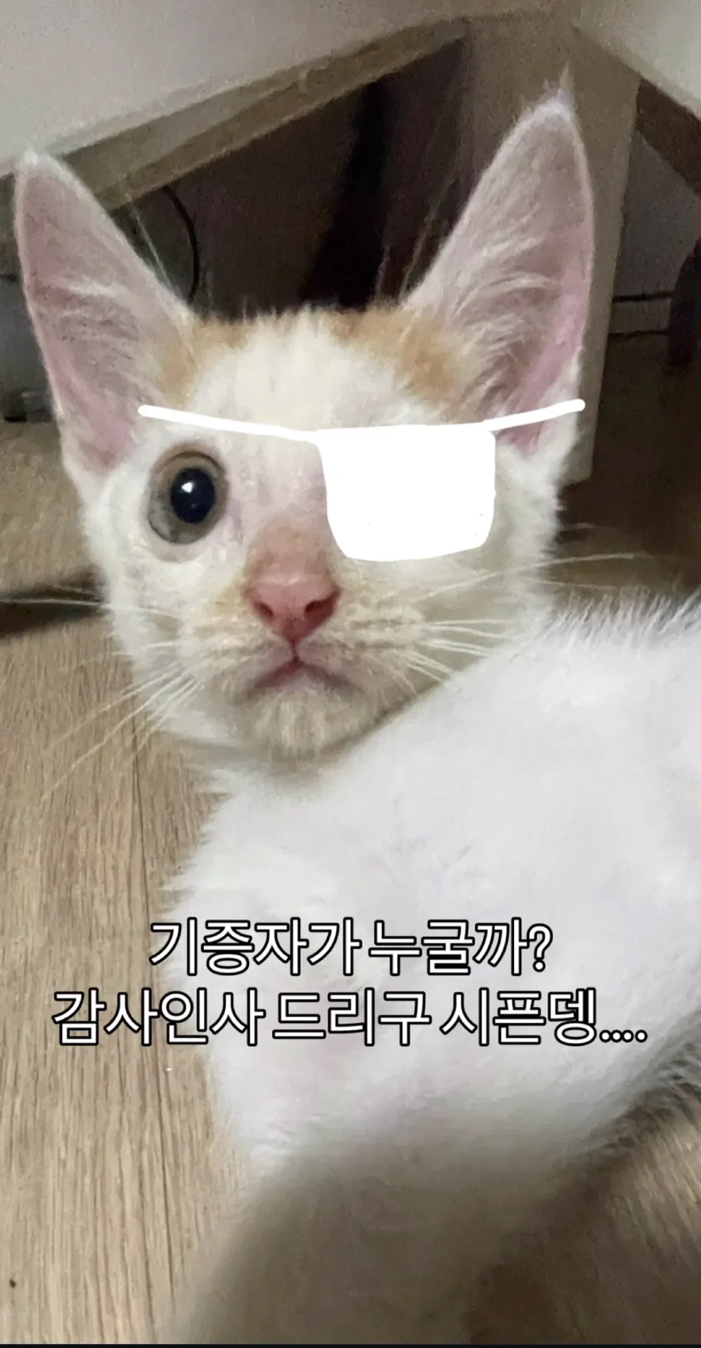 형아! 나 드디어 눈 기증 받게 됐대! | 인스티즈