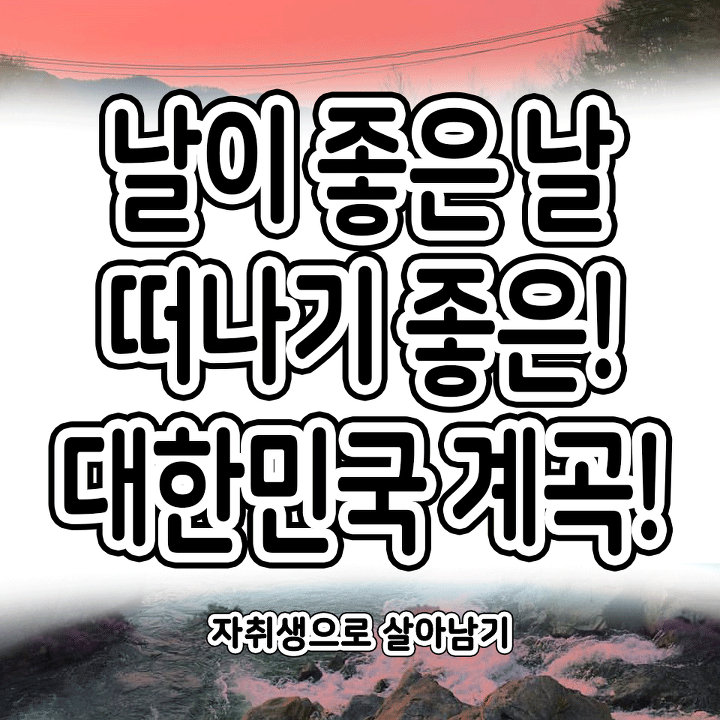 계곡의 계절이 왔다! 놀러가기 좋은 대한민국 계곡모음 | 인스티즈