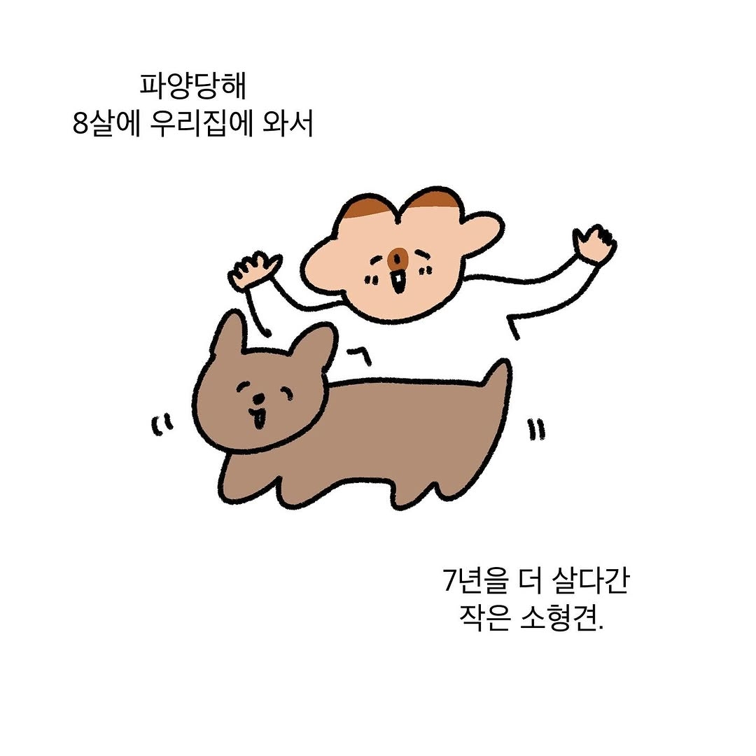 반려동물을 떠나보낸 사람이라면 공감할 인스타툰 | 인스티즈