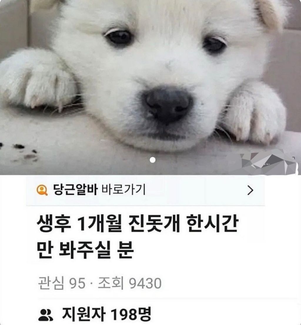 경쟁률 높다는 당근알바 | 인스티즈