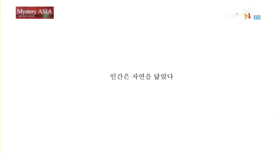 [얼굴이란무엇인가] 사람의 관상에 대해 재밌는 얘기가 있길래 캡쳐해봤긔! | 인스티즈