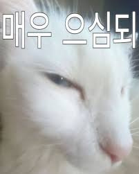 교황 이름의 비밀;;;;; feat. 베드로 | 인스티즈