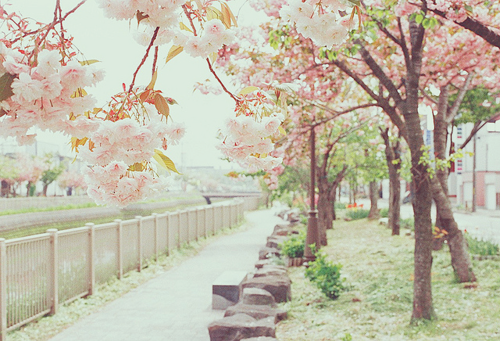 가슴이 아릿해지는 시 모음 | 인스티즈