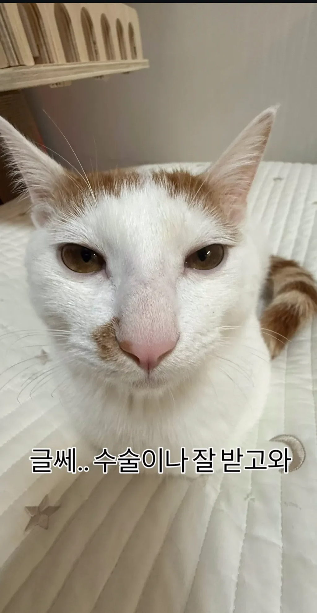 형아! 나 드디어 눈 기증 받게 됐대! | 인스티즈