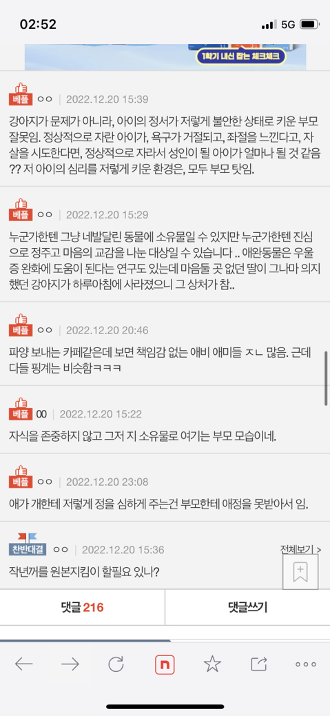 [네이트판] 딸이 강아지 때문에 자살시도를 했는데요 | 인스티즈