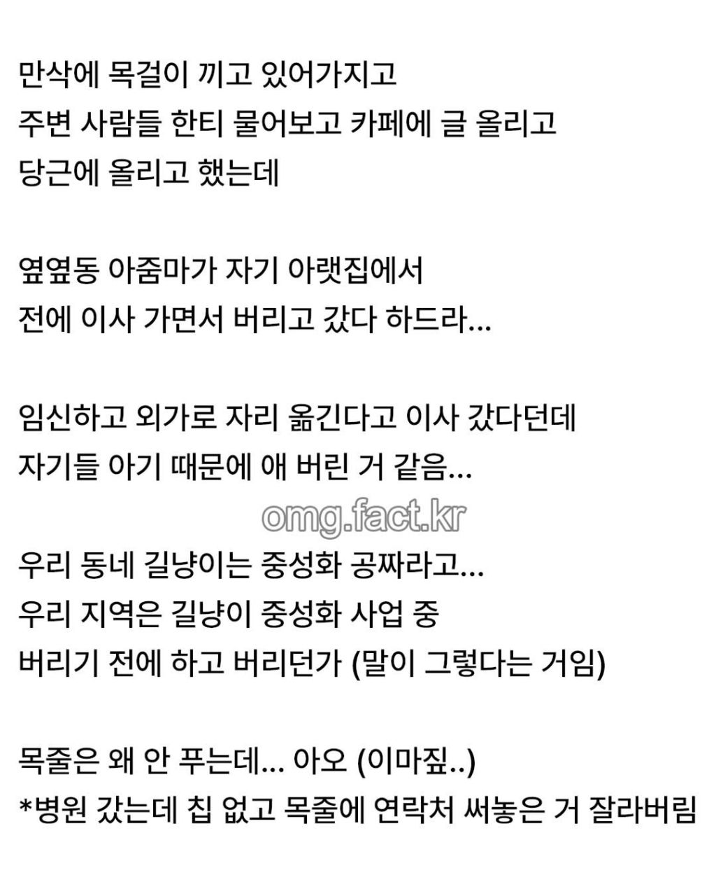 우리집에 고양이 들어옴 | 인스티즈