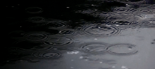 [데이터주의] 그냥 움짤 모음 .gif | 인스티즈