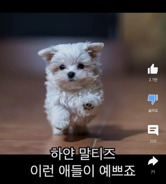어우 못생긴 노을이 ... 보면볼수록.... ............쫌..... | 인스티즈
