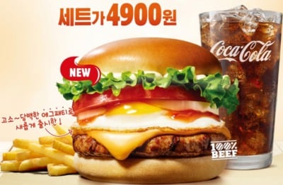 본인이 배부름을 느끼는 햄최몇 단계는? | 인스티즈