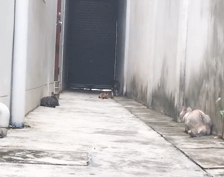 팬심빼고 봐도 솔직히 멋있는 짤.gif | 인스티즈
