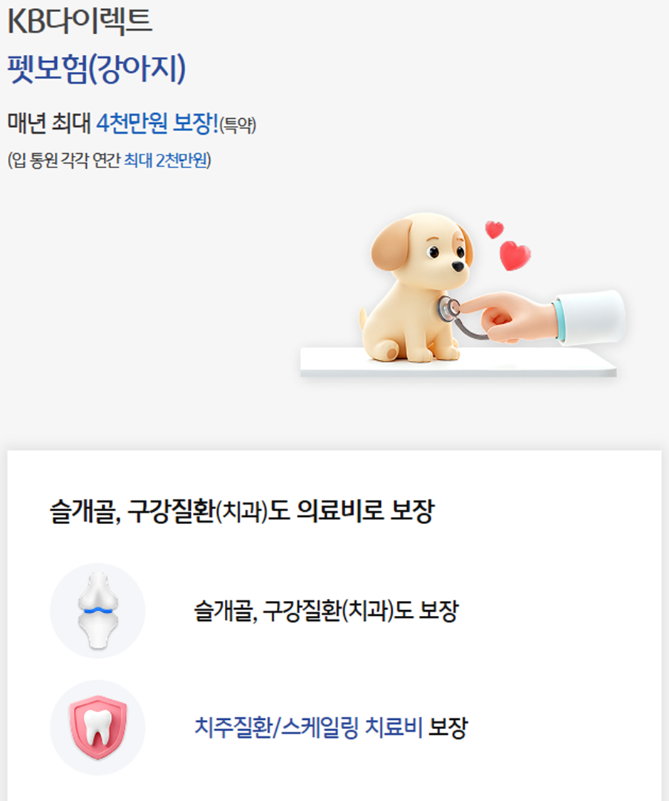 요즘 반려인들이 많이 한다는 펫보험...jpg | 인스티즈