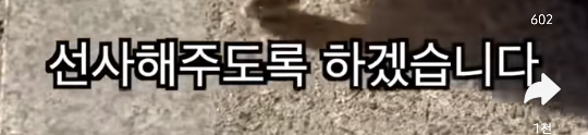 어우 못생긴 노을이 ... 보면볼수록.... ............쫌..... | 인스티즈