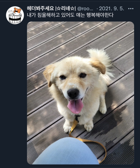 내가 침울해 하고 있으면 -가 -해준다 .twt | 인스티즈