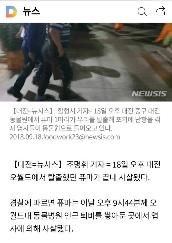 대전 오월드에서 탈출했던 퓨마가 탈출해서 숨어있던 곳 | 인스티즈