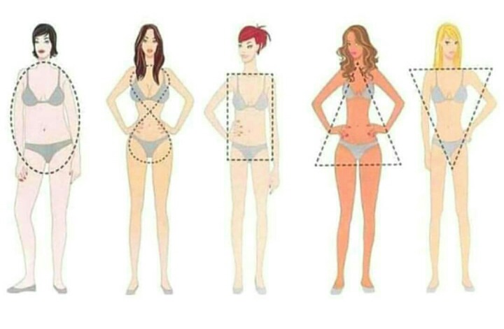 나의 체형은 어떤 것일까? | 인스티즈