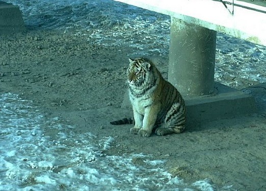 [운빨로맨스] 남주가 설레게 만드는 포인트를 잘 잡았다고 느낀 장면들 | 인스티즈