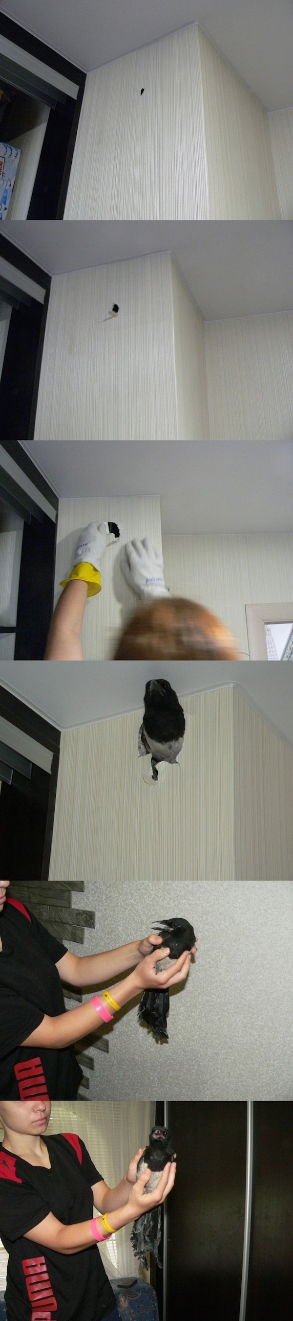 벽에 구멍이 났다 | 인스티즈