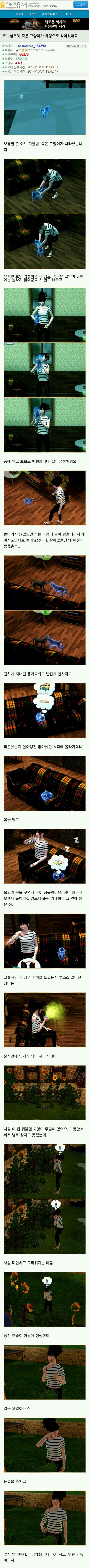 [심즈3] 죽은 고양이가 유령으로 찾아왔어요 | 인스티즈