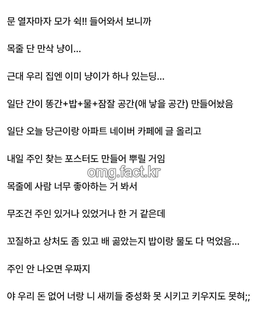 우리집에 고양이 들어옴 | 인스티즈