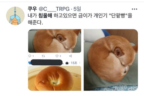 내가 침울해 하고 있으면 -가 -해준다 .twt | 인스티즈
